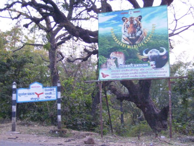Radhanagari Wildlife Sanctuary Kolhapur